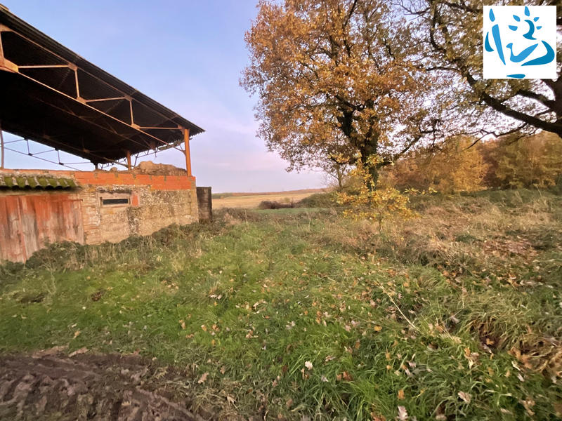 Ferme - 70 m² - 4 pièces
