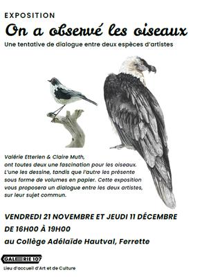 On a observé les oiseaux