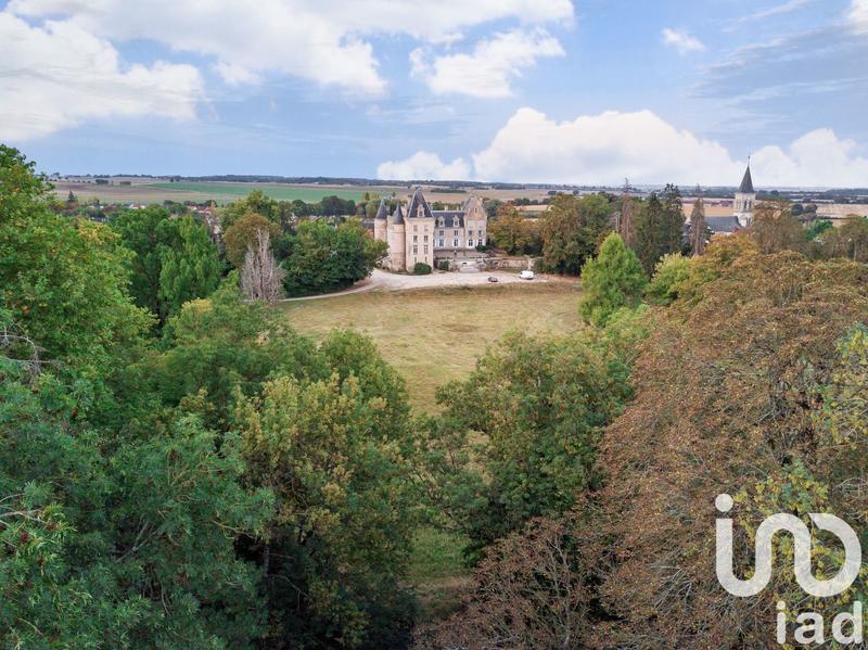 Château - 4 200 m² - 72 pièces