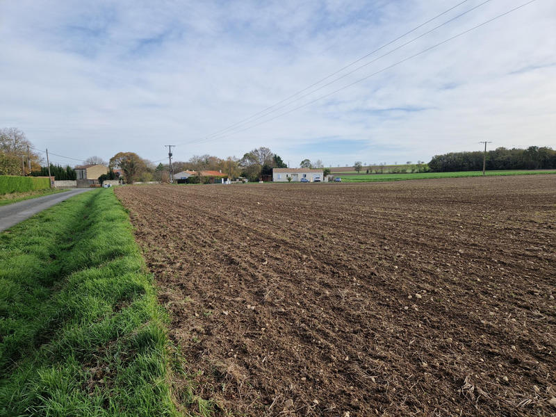 Terrain constructible - 1 000 m²