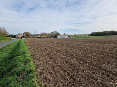 Terrain constructible - 1 000 m²