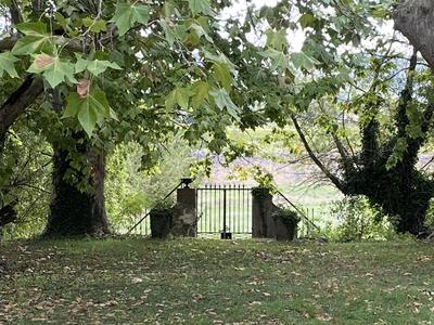 Propriété viticole - 370 m² - 8 pièces