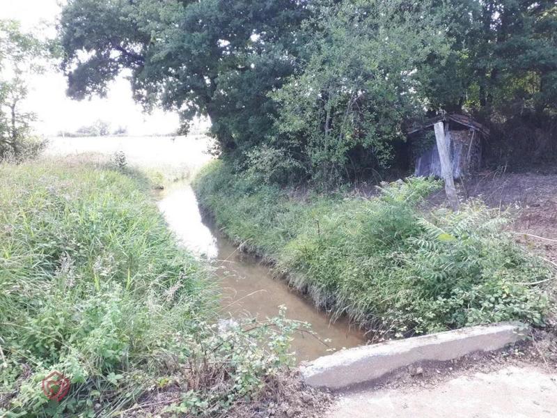 Maison de maîtres - 150 m² - 6 pièces