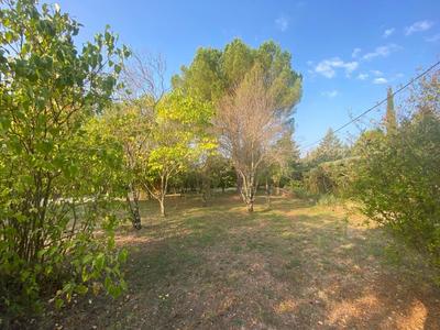 Terrain - 1 372 m²