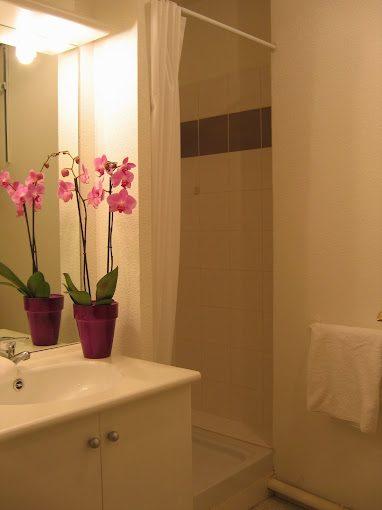 Appartement - 19 m² - 1 pièce