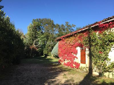 Maison en pierre - 257 m² - 5 pièces