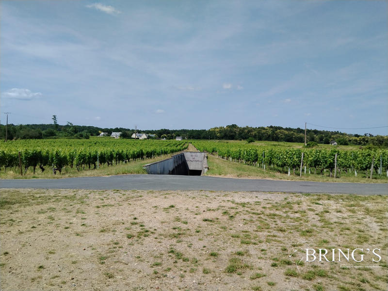 Maison ancienne - 110 m² - 40 pièces