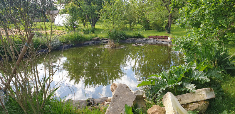 Maison - 450 m² - 13 pièces