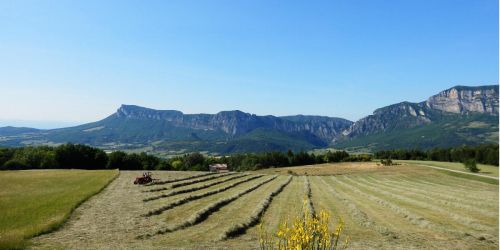 La Roulotte du Panicaut