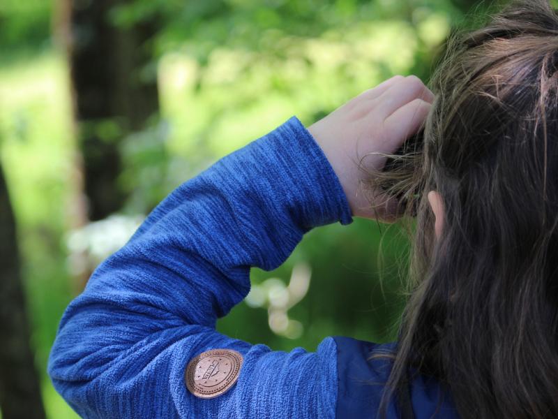 Escape game nature à Terres d'Oiseaux