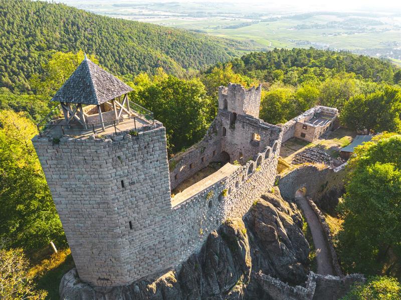 Les trails du tous au Bernstein