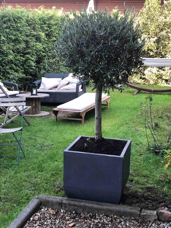 Appartement - 78 m² - 3 pièces