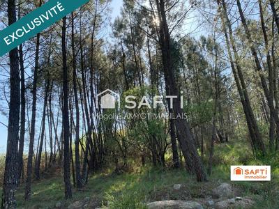 Maison - 404 m² - 11 pièces