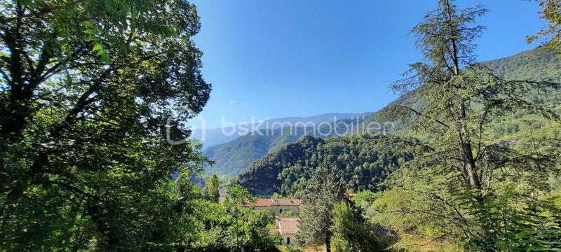 Terrain - 1 591 m²