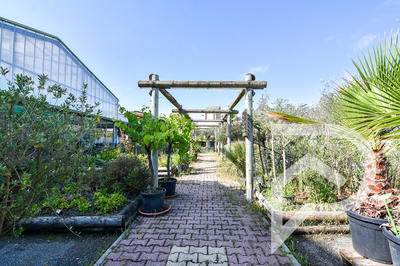 Local commercial - 2 600 m²