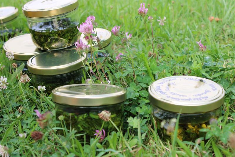 Atelier : Fabrication d'un baume végétal