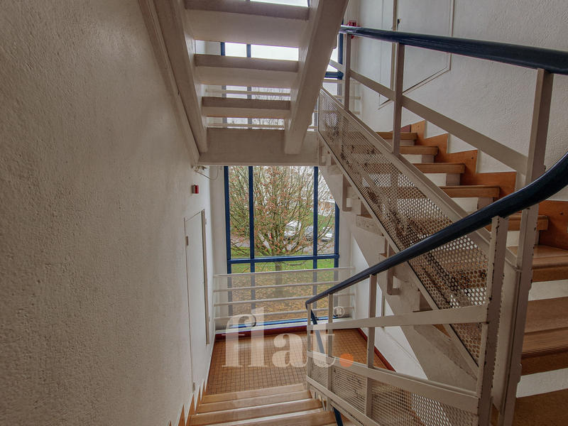 Appartement - 55 m² - 3 pièces