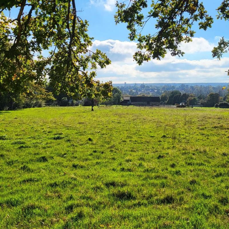 Maison - 87 m² - 5 pièces