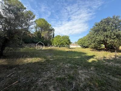 Terrain - 1 077 m²