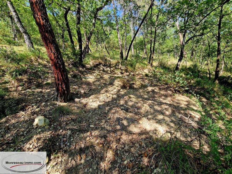 Terrain inconstructible - 1 763 m²