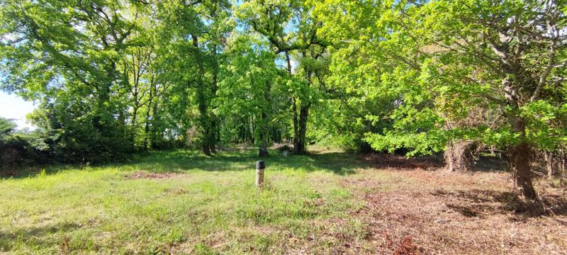 Terrain constructible - 2 177 m²