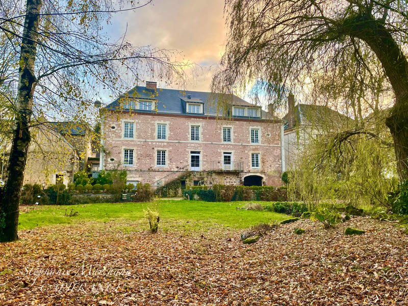 Hôtel particulier - 452 m² - 19 pièces