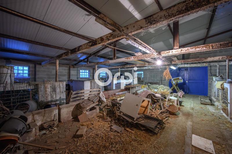 Ferme - 130 m² - 5 pièces