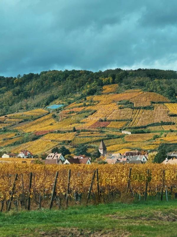 Maison - 312 m² - 12 pièces