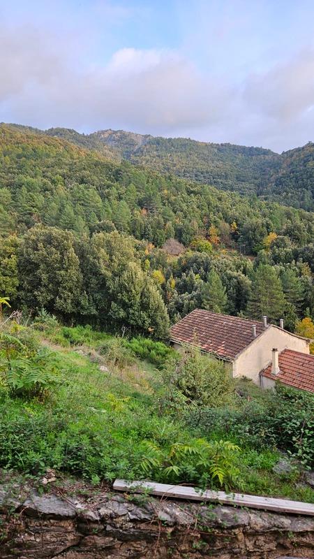 Maison - 66 m² - 4 pièces