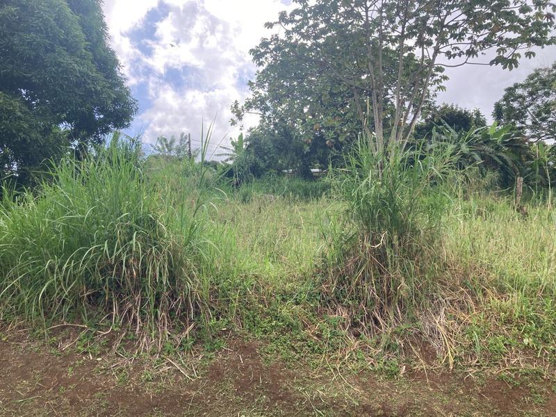 Terrain constructible - 1 424 m²