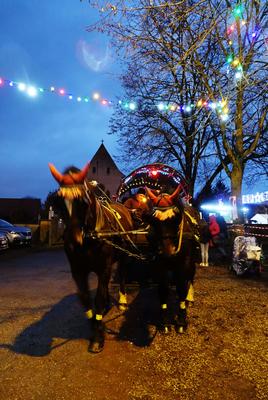 Noël au Marché d'Eschau