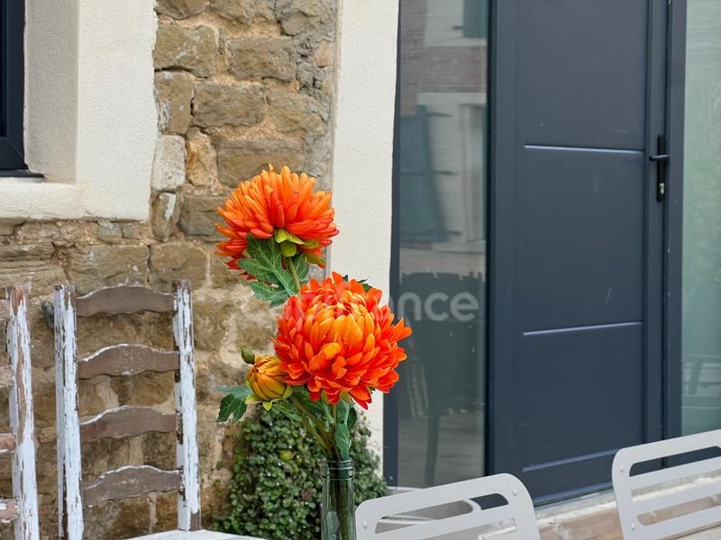 Propriété - 318 m² - 17 pièces