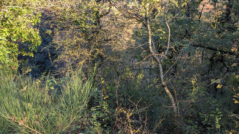 Terrain agricole - 58 891 m²