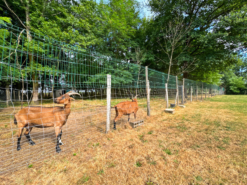 Maison - 250 m² - 8 pièces