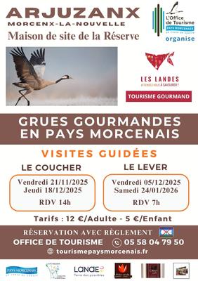 Annulé - les grues gourmandes en Pays Morcenais - le lever