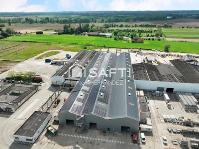 Bureau - 10 600 m² - 8 pièces