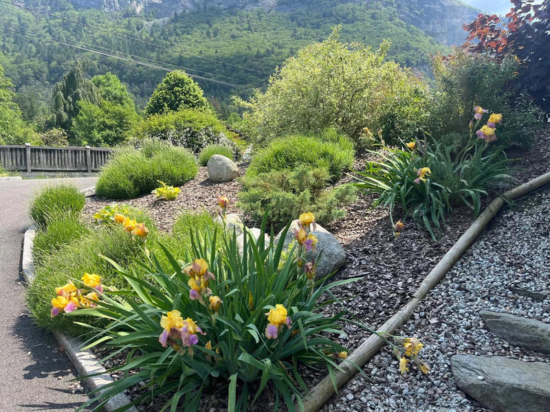 Châlet - 260 m² - 9 pièces