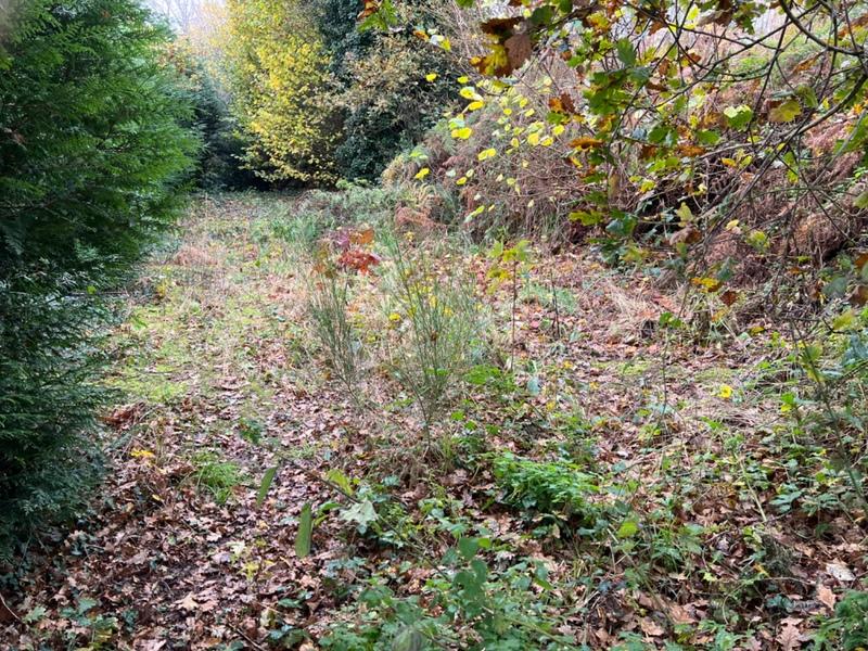 Longère - 82 m² - 4 pièces