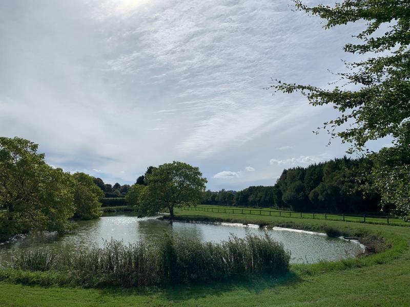 Maison - 420 m² - 11 pièces