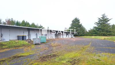 Local commercial - 1 190 m² - 10 pièces