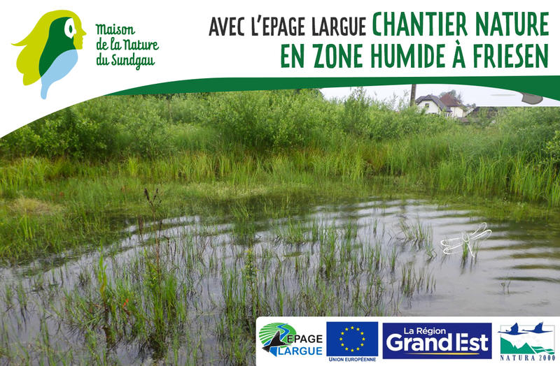 Chantier nature en zone humide à Friesen - Public adulte