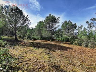 Terrain - 2 760 m²
