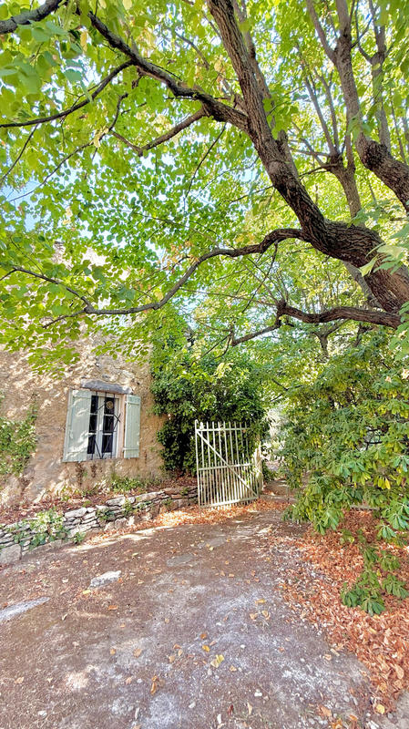 Mas - 250 m² - 10 pièces