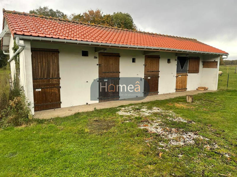 Maison - 115 m² - 5 pièces