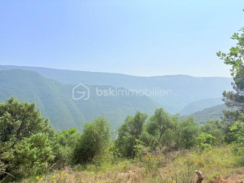 Terrain - 1 562 m²