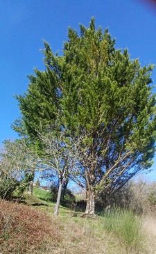 Maison - 86 m² - 6 pièces