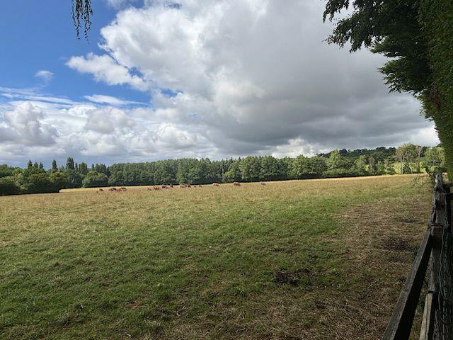 Propriété - 250 m² - 9 pièces