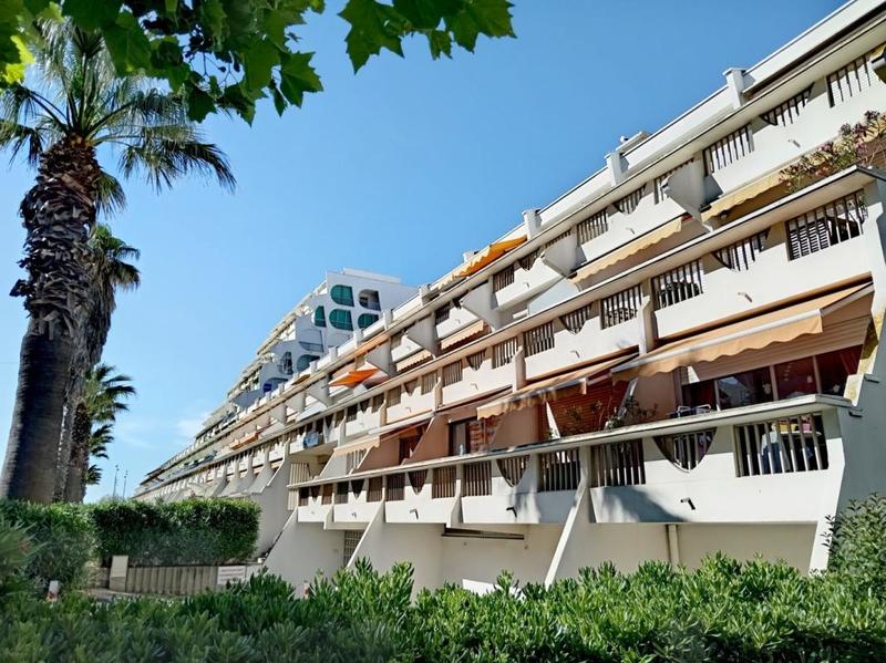 Studio - 25 m² - 1 pièce