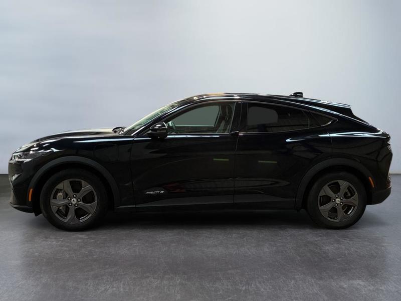 Ford Mustang Mach-E Standard Range 76 kWh 269 ch