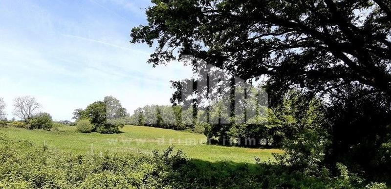 Corps de ferme - 120 m² - 4 pièces